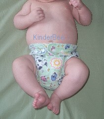 KinderBee� Baby Cloth Diaper Pattern-cloth diaper pattern, cloth diapers, fitted diaper, fitted diapers, pattern, patterns, baby, sew