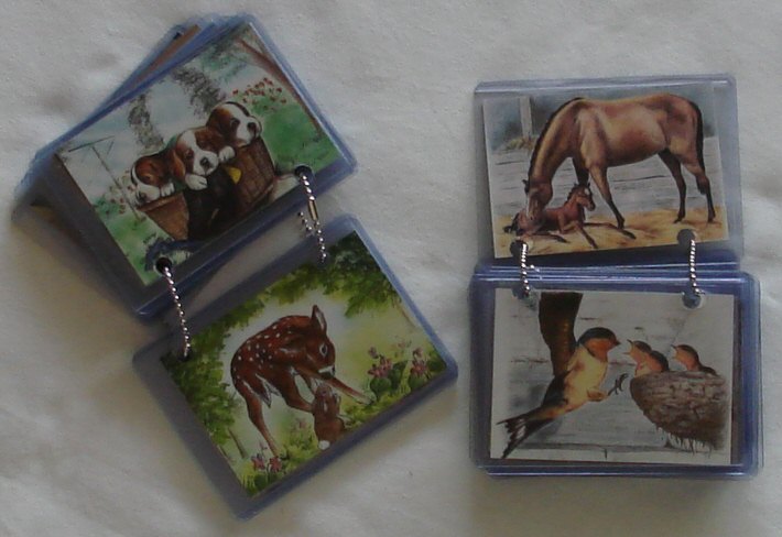 Animal Cards-Animal Cards