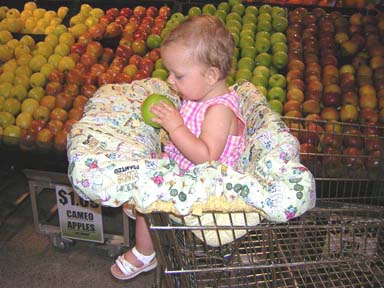 Shopping Cart Seat Cover | Baby | YouCanMakeThis.com